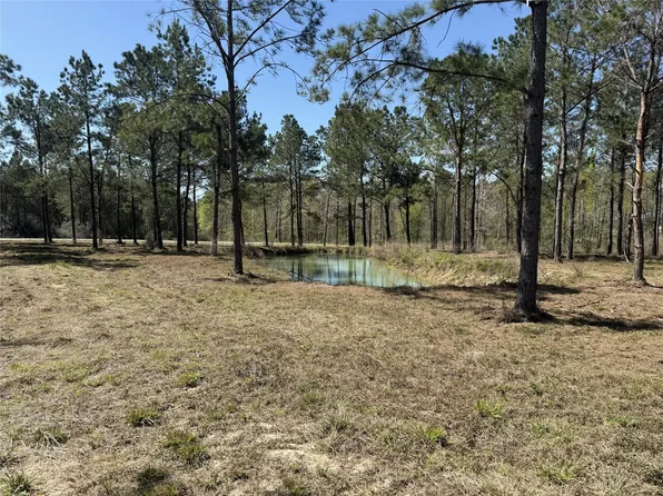 521 Rolling Pines Dr Lot 9, Livingston, TX 77351