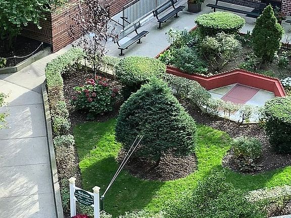 beautiful garden