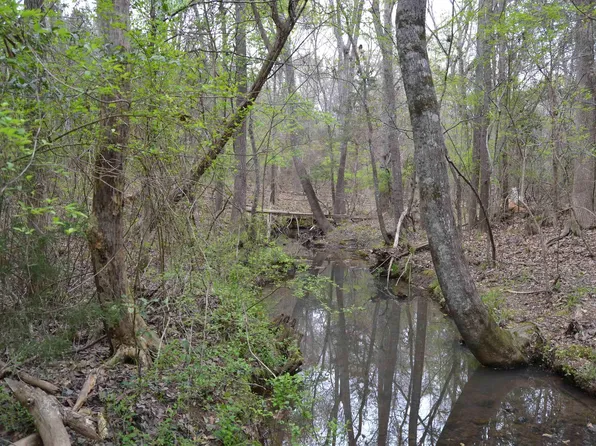 1309 Farming Creek Rd, Irmo, SC 29063