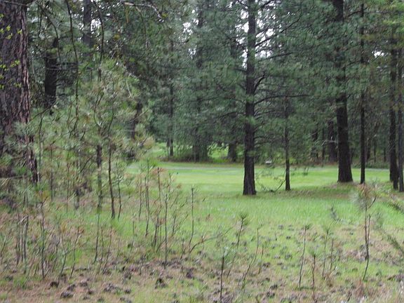2nd image of 243 Eagle Dr