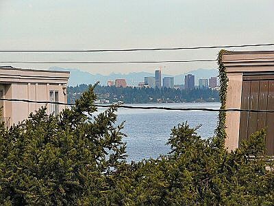 View Looking East