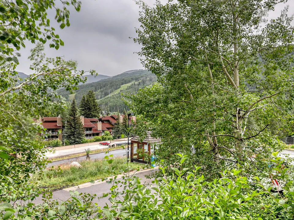 1063 Vail View Dr #1-1LIONS