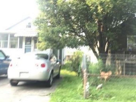 Property Side View