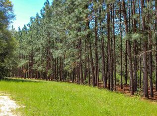 Spring St, Newton, AL 36352