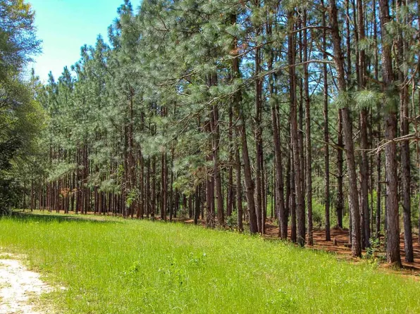 Spring St, Newton, AL 36352