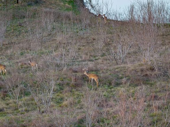 5th image of 13775 Farm to Market Road 725