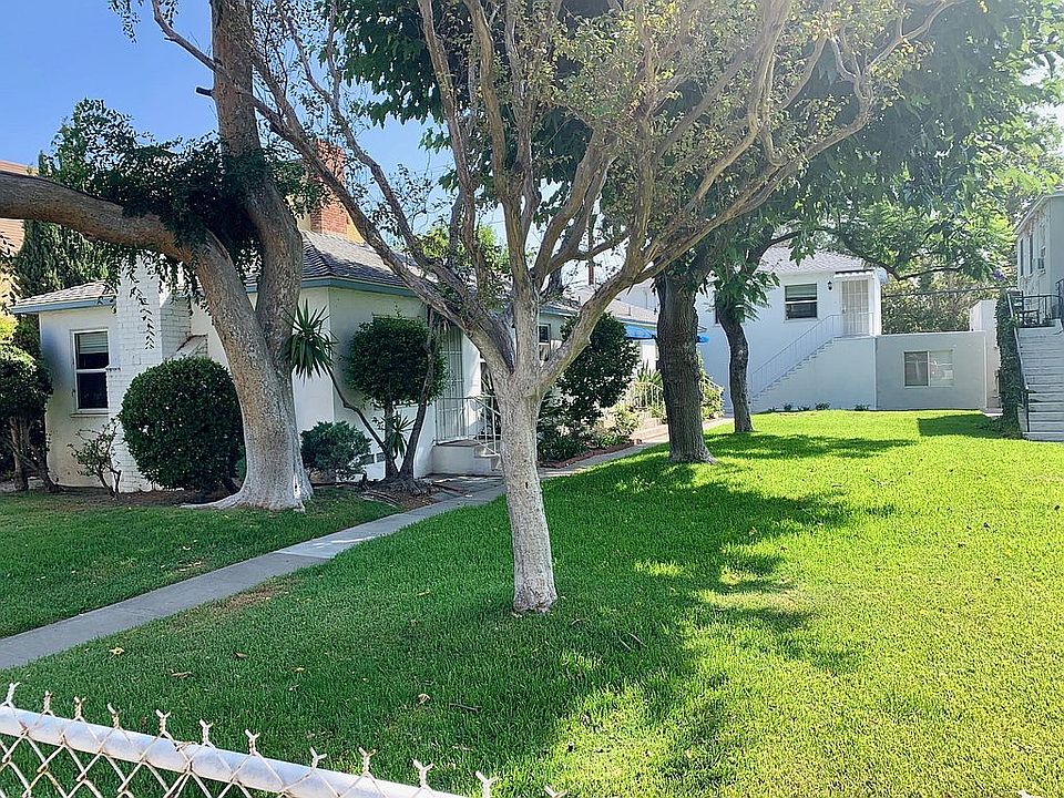 Luscious Green Courtyard and Mature Trees