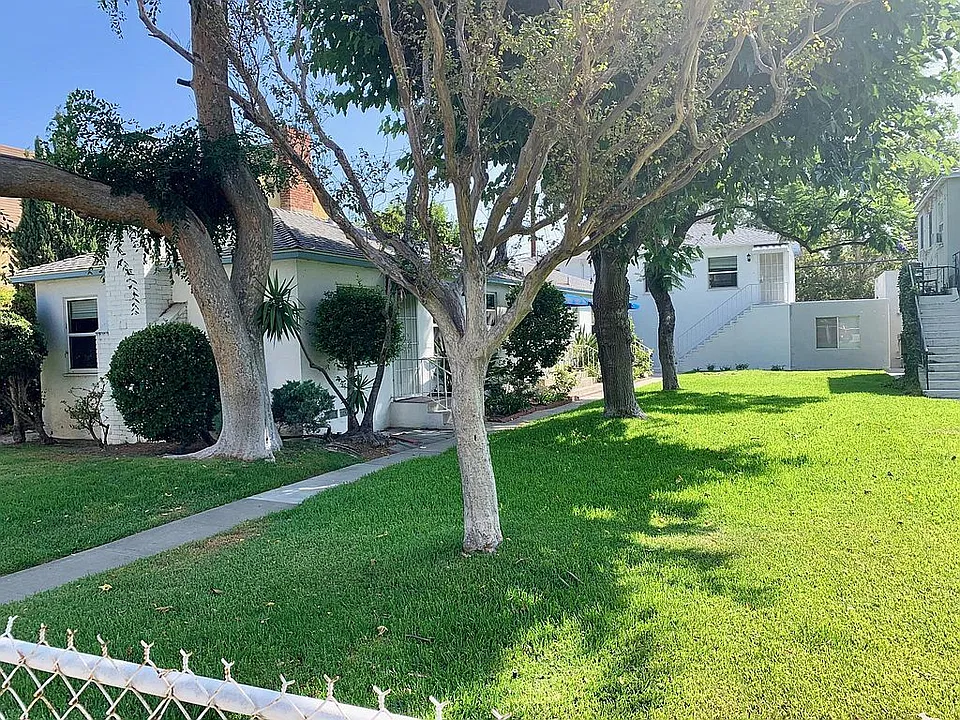 Luscious Green Courtyard and Mature Trees