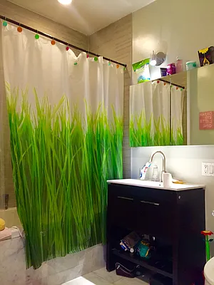 Rented by Fiddler Realty | media 39