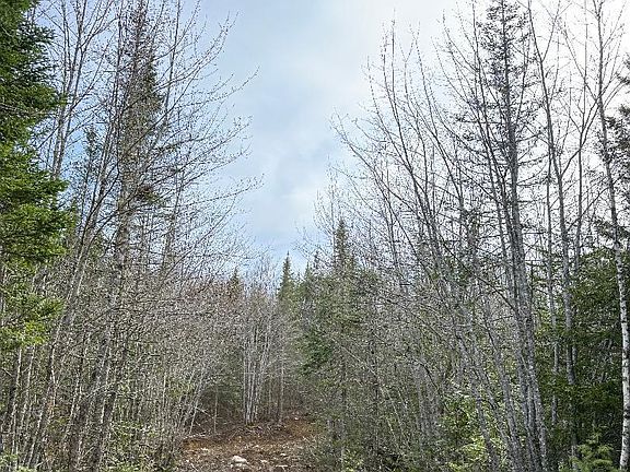 5th image of Lot 7BH Steam Mill Road