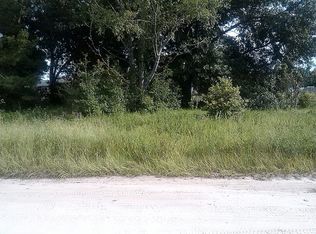 Wild Turkey, Paisley, FL 32767