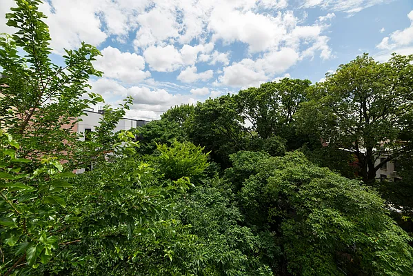 Rented by Maplewood Management | media 31