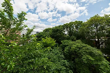 Rented by Maplewood Management