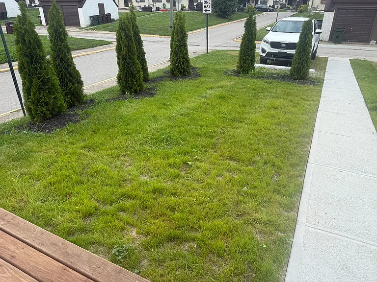 6754 Chestnut St #TOWNHOUSE — Photo 8