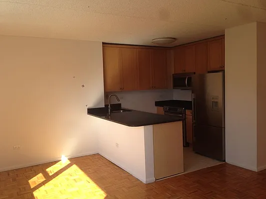 Rented by Manhattan Skyline | media 3
