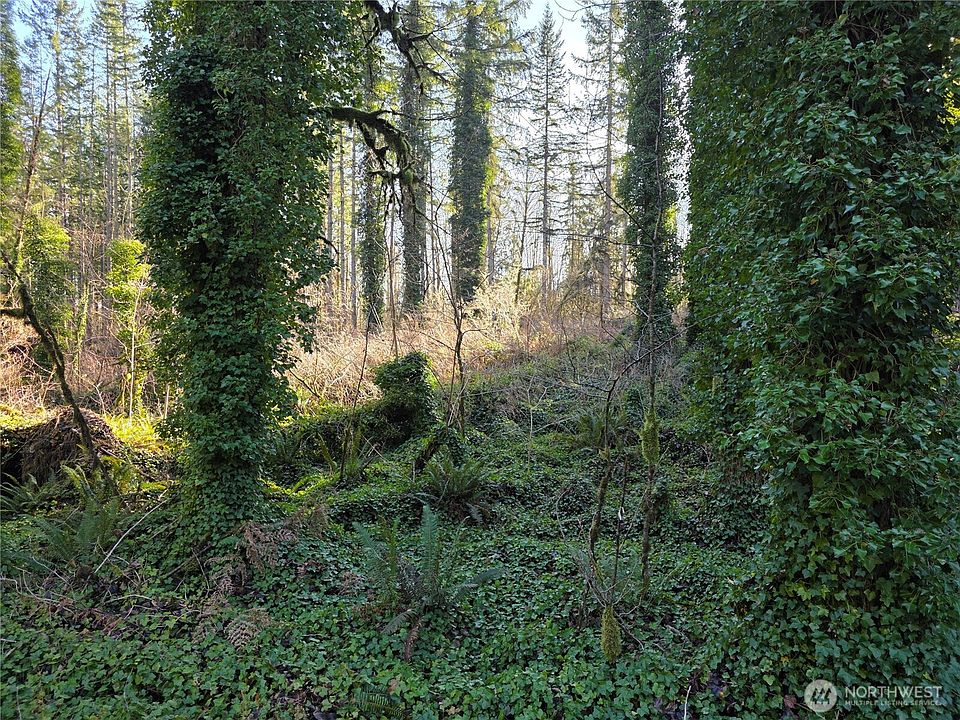 2nd image of 226 XX Scotty Road #7