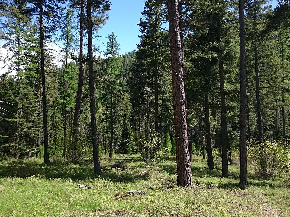 2nd image of Nhn Blacktail Rd
