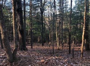 99999 Avondale Ridge Rd, Asheville, NC 28803