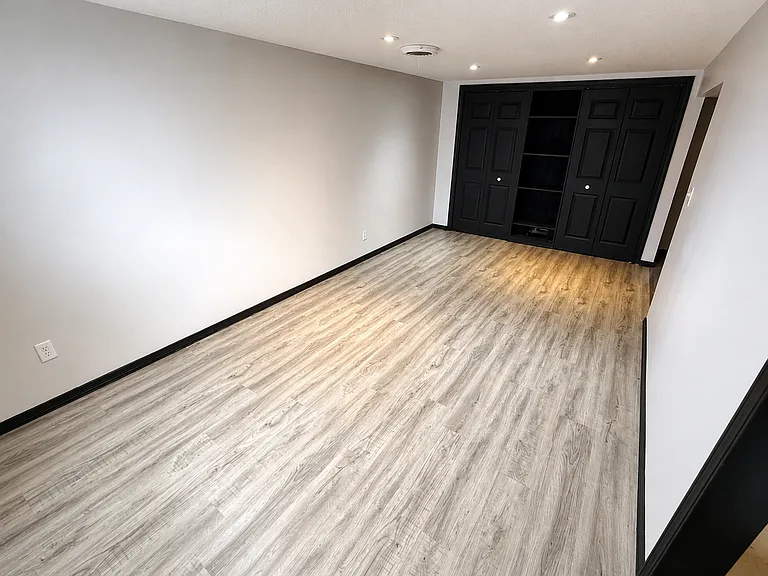 large basement bonus room with new LVP flooring!
