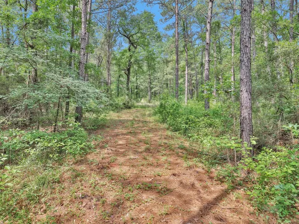 8327 Fm 980 Rd N, Huntsville, TX 77320