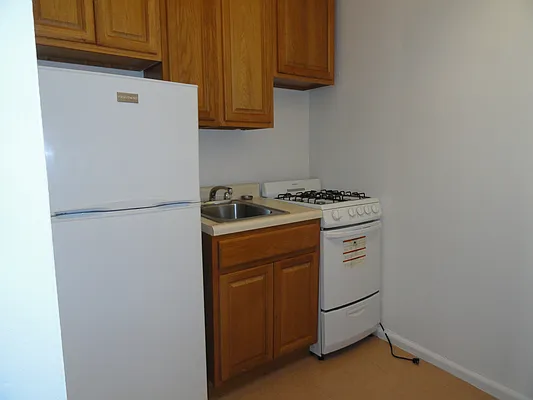 Rented by Manhattan Flats | media 41