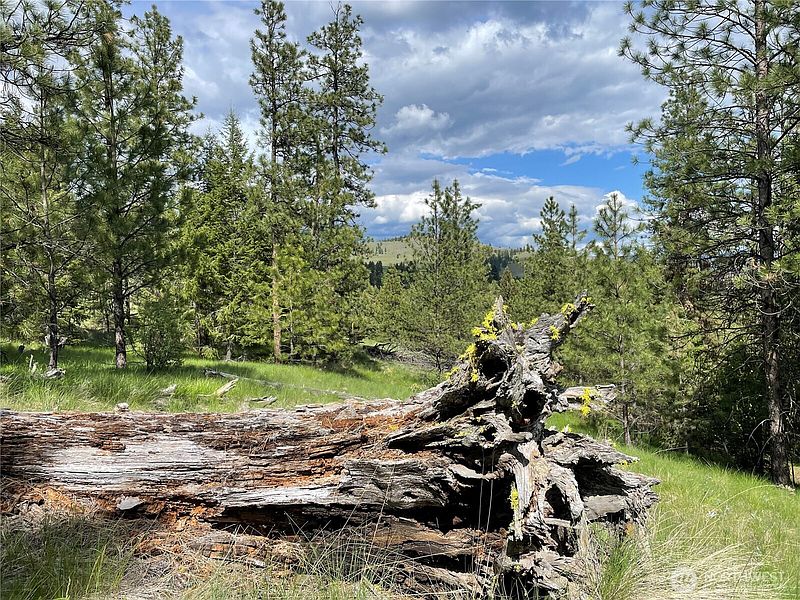 3rd image of 112 TBD Sunrise Rd