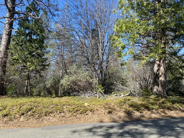 1919 Lily Gap Rd, West Pt, CA 95255