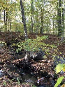 465 Wolcott St, Bristol, CT, 06010