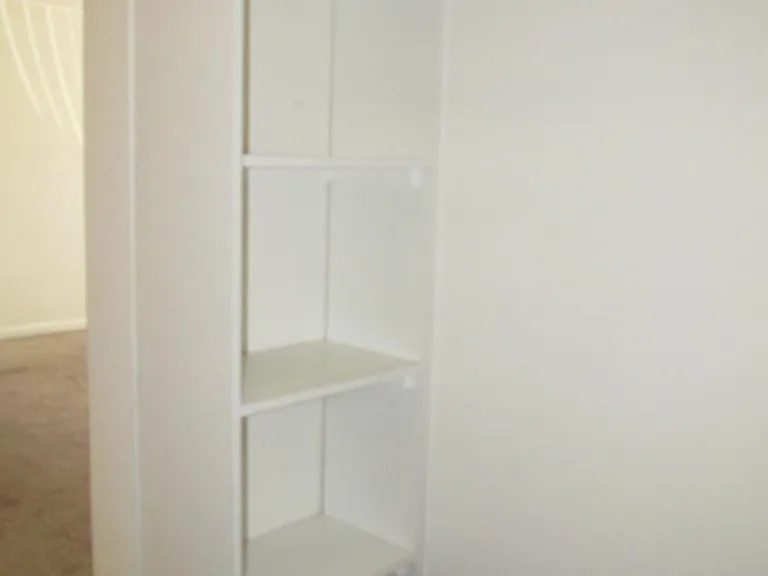 Hall closet