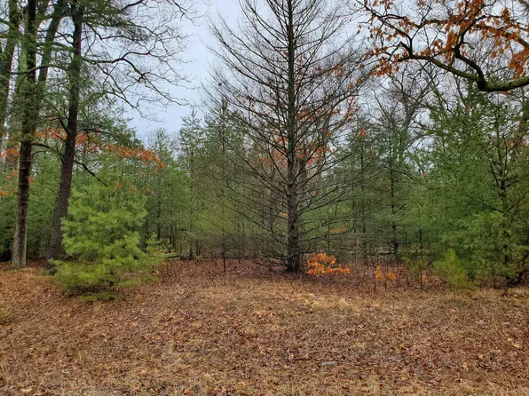 0 Benston Rd, Whitehall, MI 49461