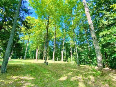 0 Webb Rd, Wolverine, MI, 49799