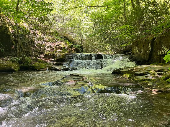 4th image of Darnell Creek Rd