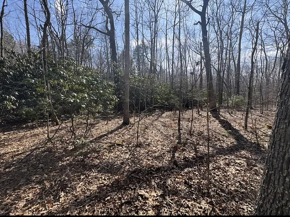 100 Pierce Holw #A, Lester, WV 25865