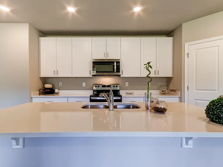3051 Forrest Plum Ct — Photo 12
