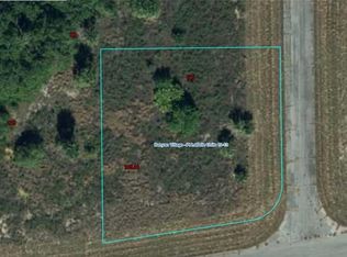225 Dublin Cir, Labelle, FL 33935