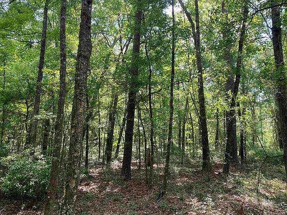 2nd image of Tbd Ashville Highlands Dr