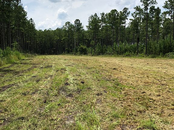 2nd image of 00 Piney Point Ln