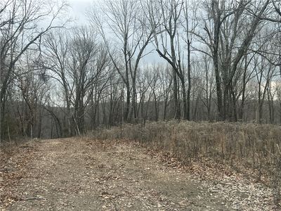 Dubuque Rd, Omaha, AR, 72662