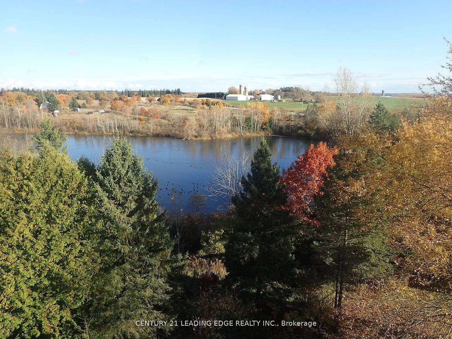 3536 Bloomington Rd photo 1