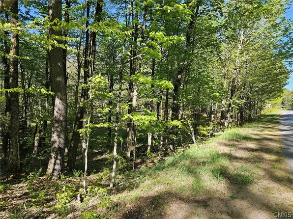 Long Pond Rd #1, Croghan, NY 13327