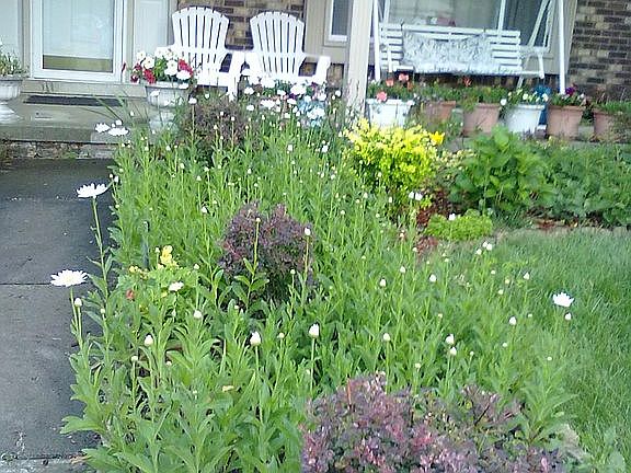 Crestmont Entrance Garden