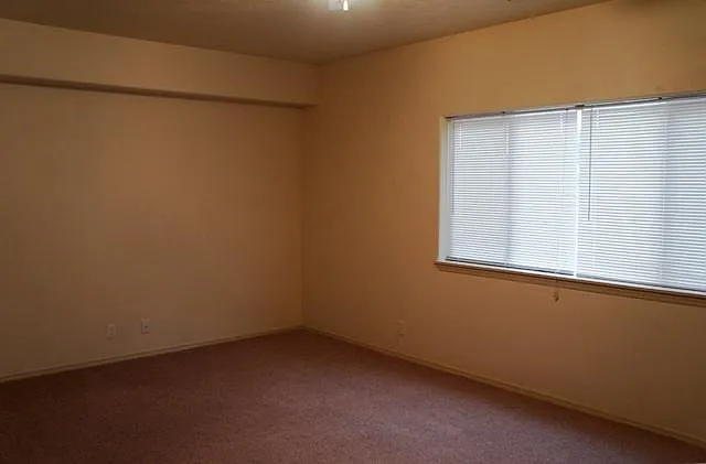 1164 S 5 W — Photo 6
