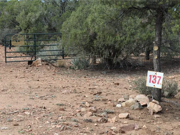 10387 E Amber Ct, Hackberry, AZ 86411