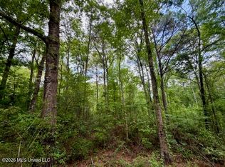 Conerly Dr, McComb, MS 39648
