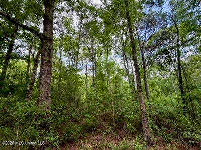 Conerly Dr, McComb, MS, 39648