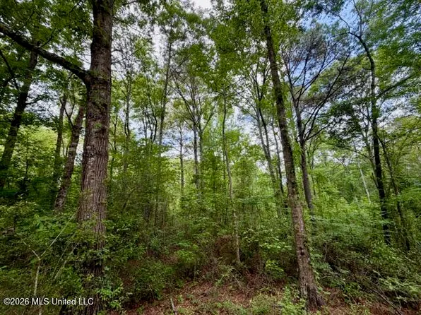 Conerly Dr, McComb, MS 39648