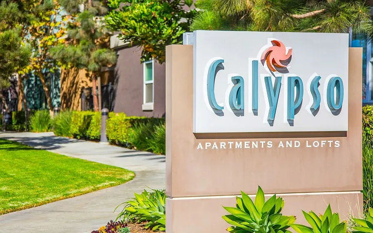 Calypso Apartments and Lofts — Photo 46