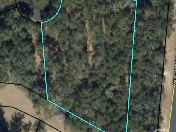 0 Blackberry Lane NE, Townsend, GA 31331