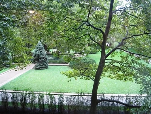 Rented by Citi Habitats | media 7