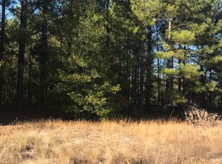 0 Rummage Packhouse Rd, Ellerbe, NC 28338